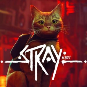 Stray
